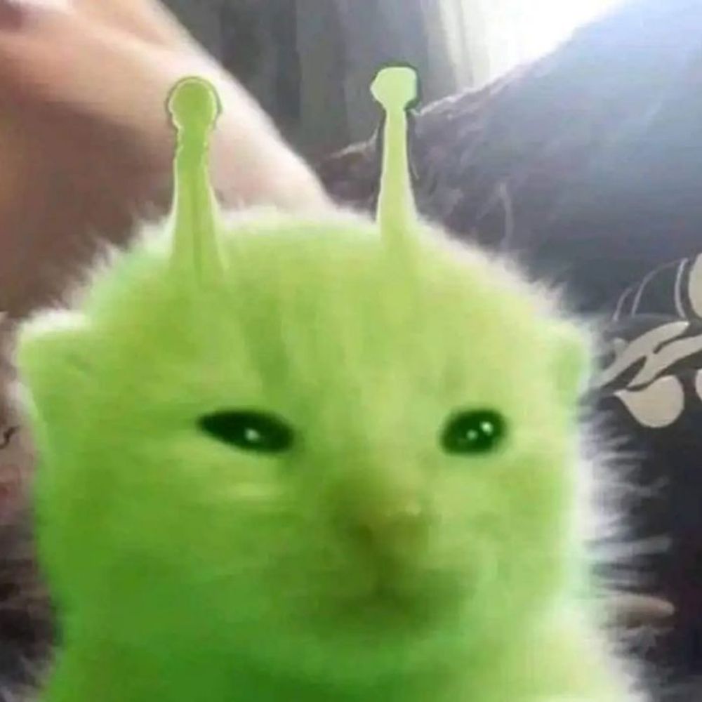 Potato franzin