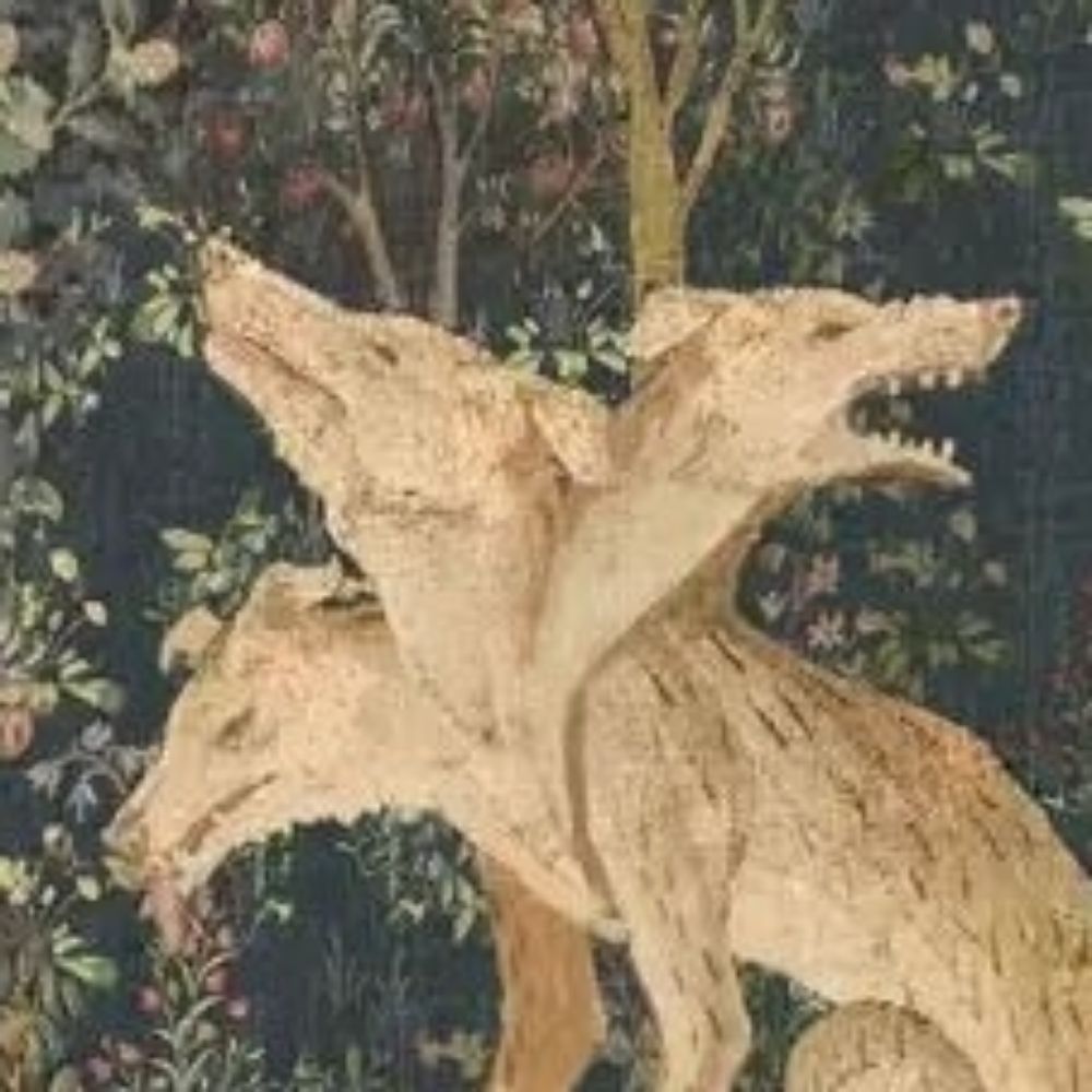 𖡼𓋼𖤣𖥧𓋼𓍊