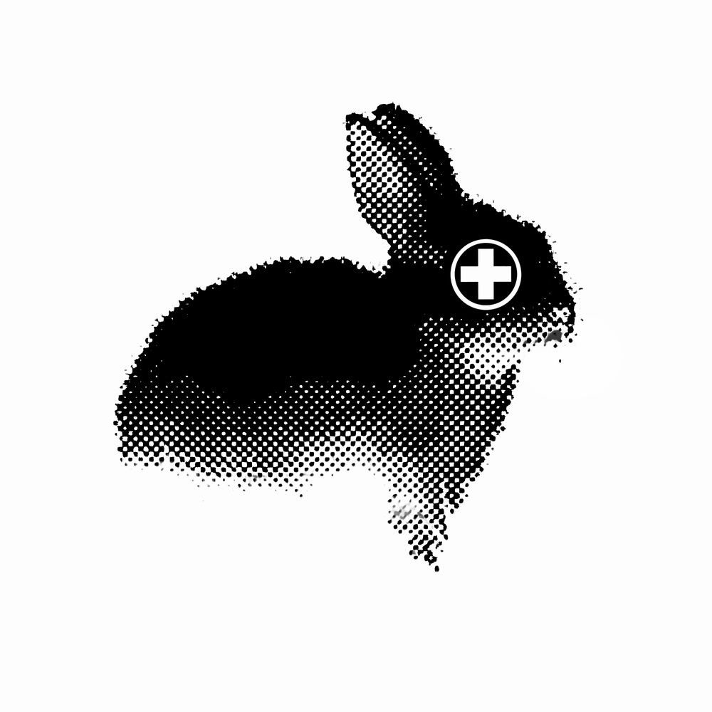 matti rabbit