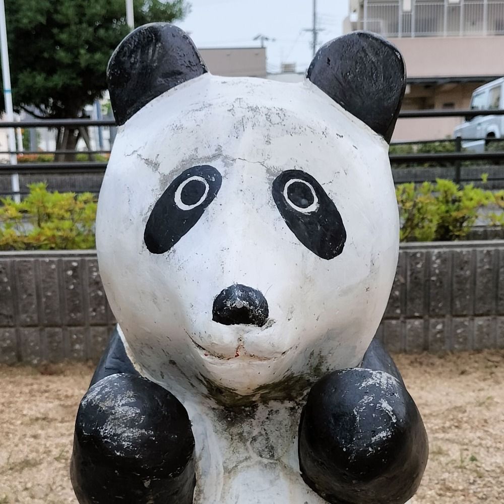 padding-pig.bsky.social