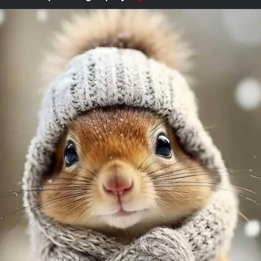 TraceSkipper