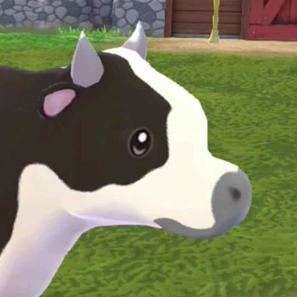 Cows in Media