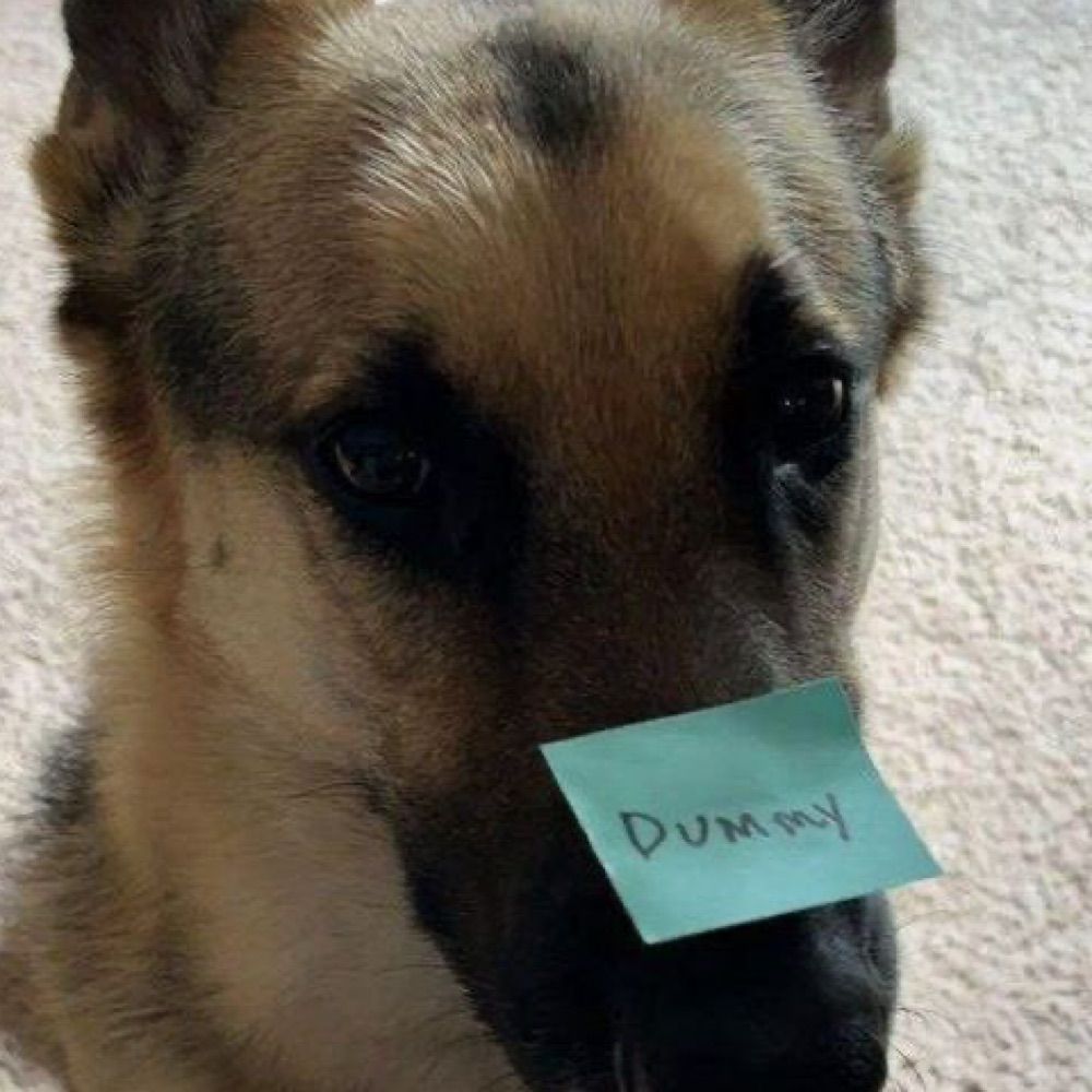 ➿🐾