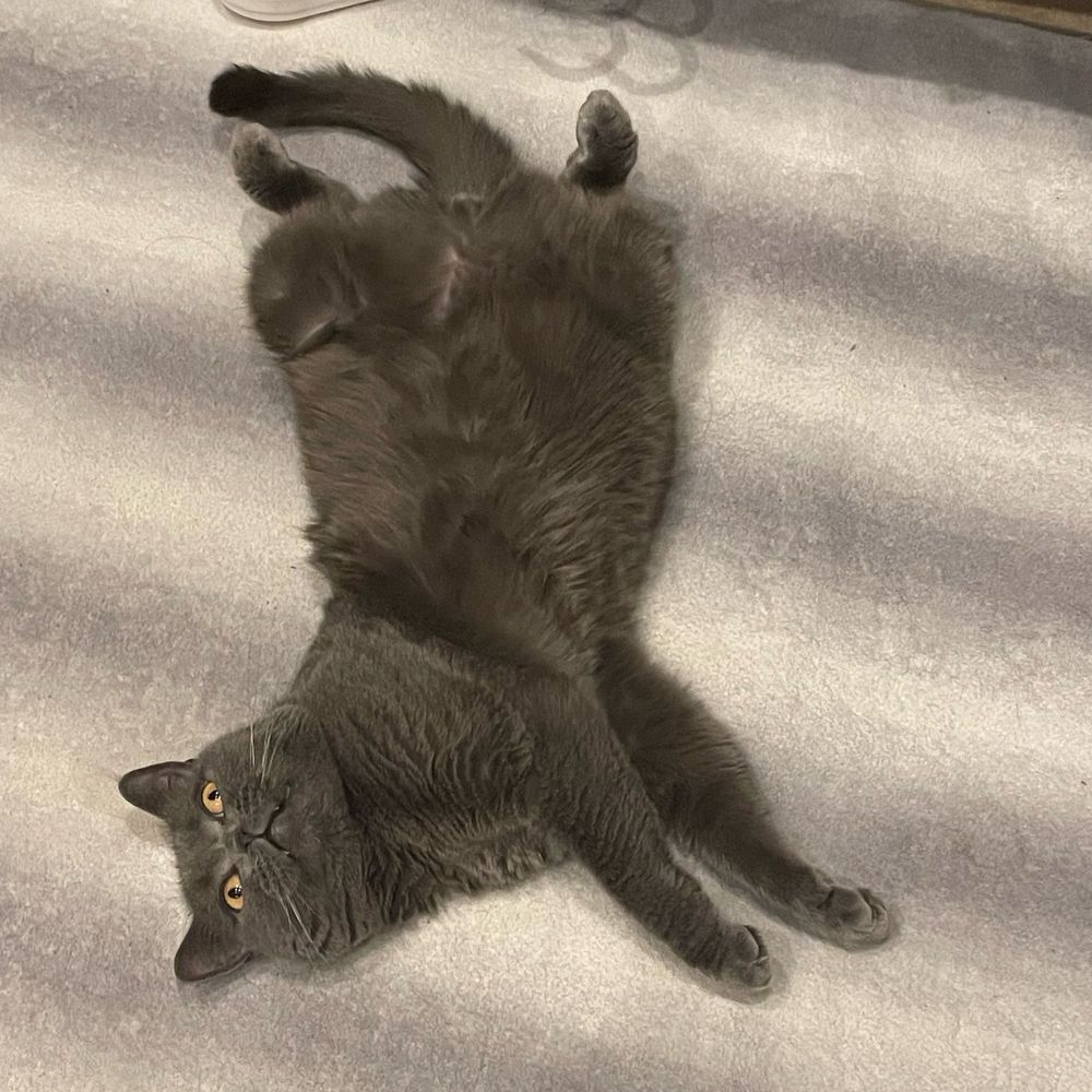 としお
