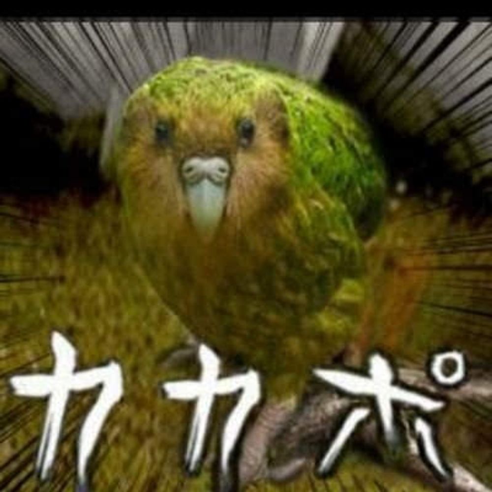 まきお