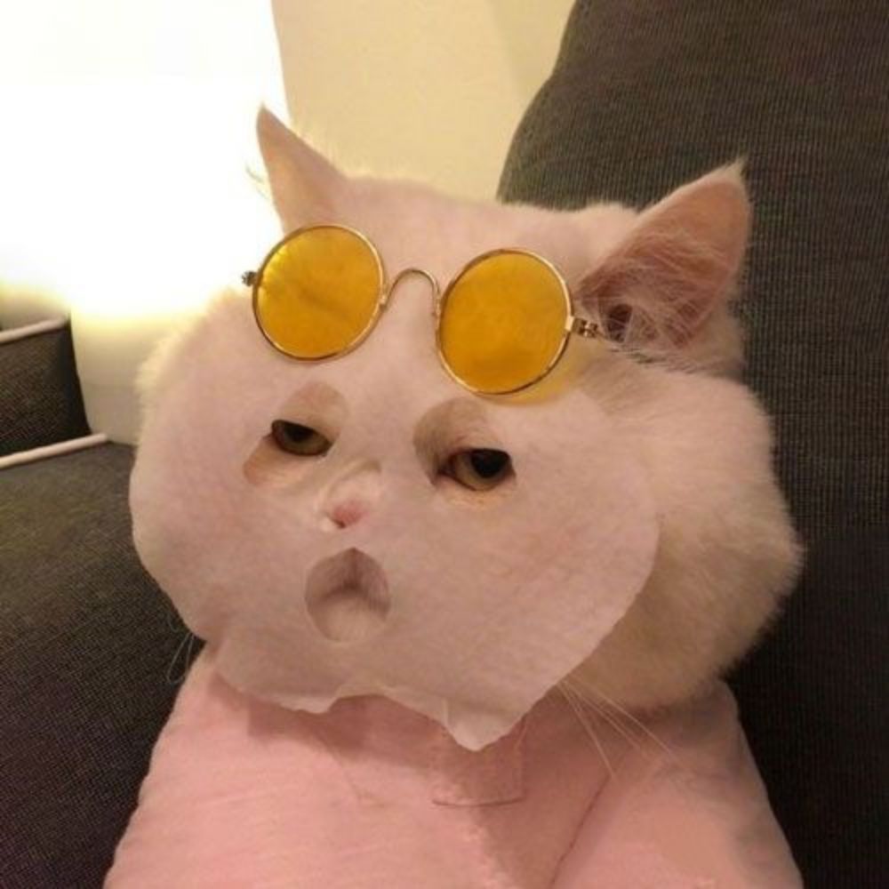 Ju 
