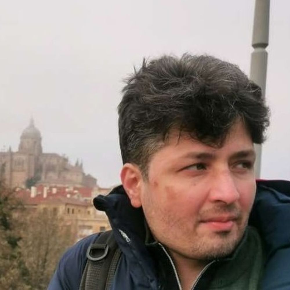 Hadi Ghaemi