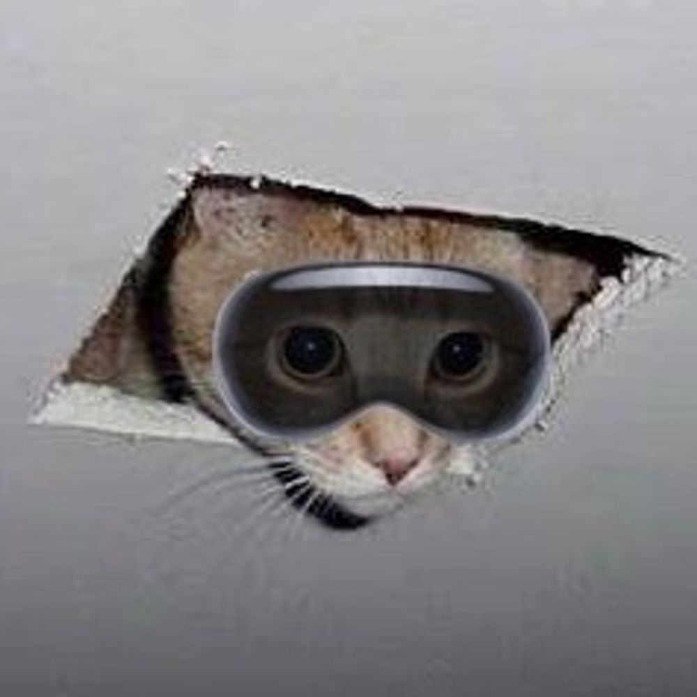 Ceiling Cat's avatar
