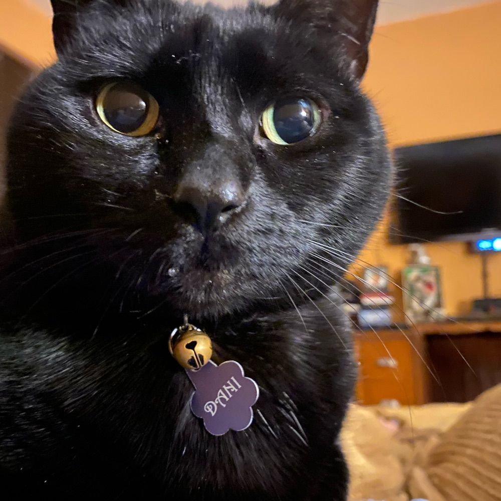 Mel