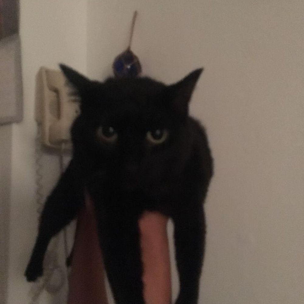 WeeGerGai