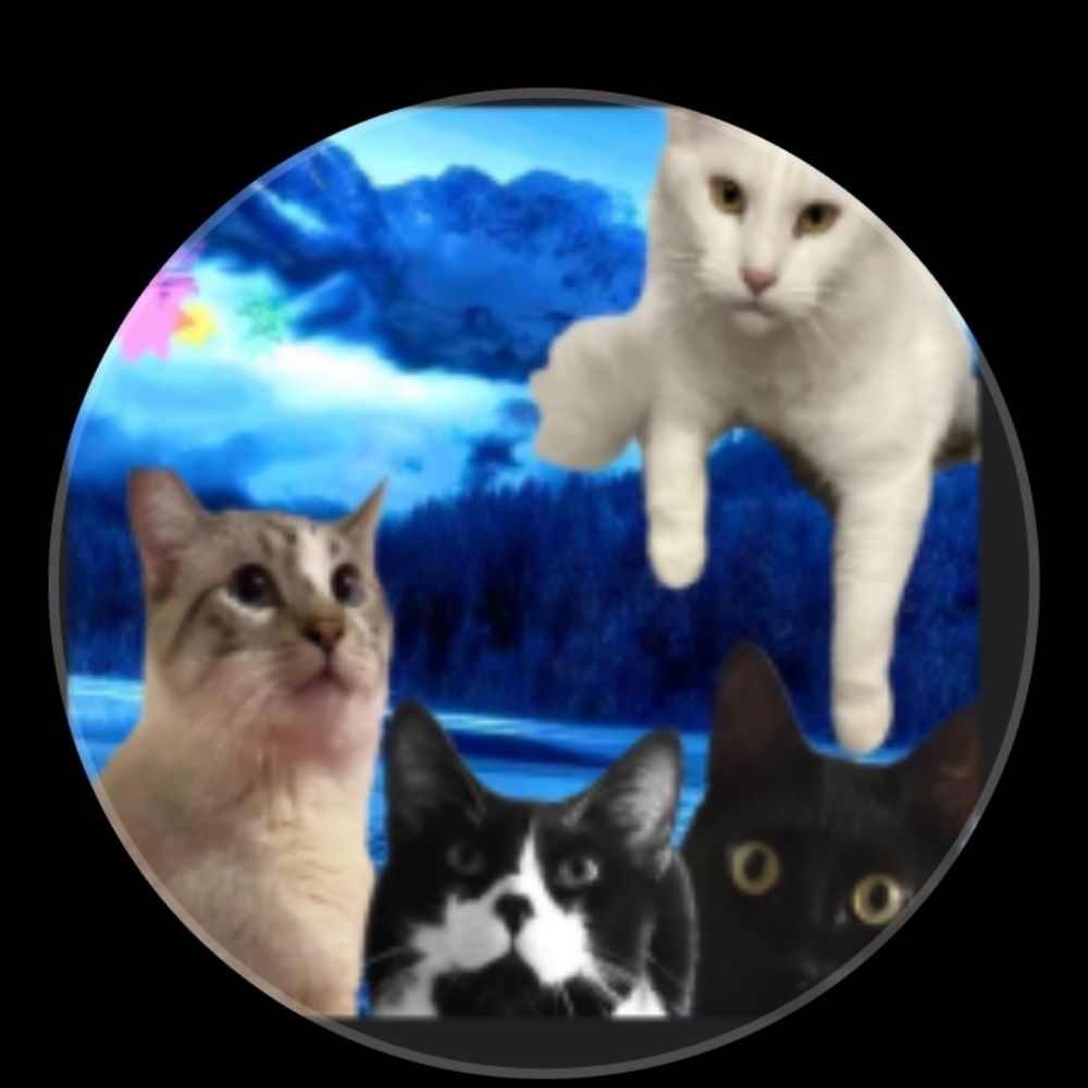4 cat moschettieri