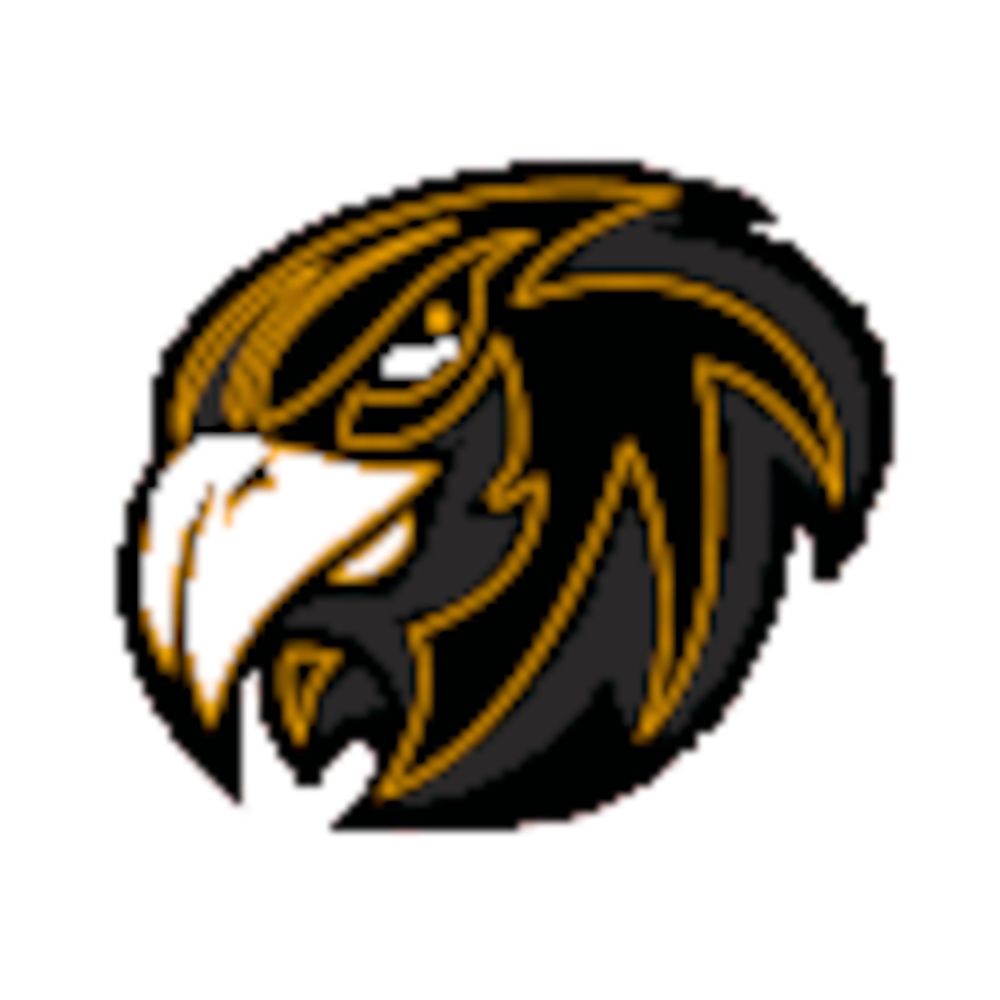 Hawk_Eye_117