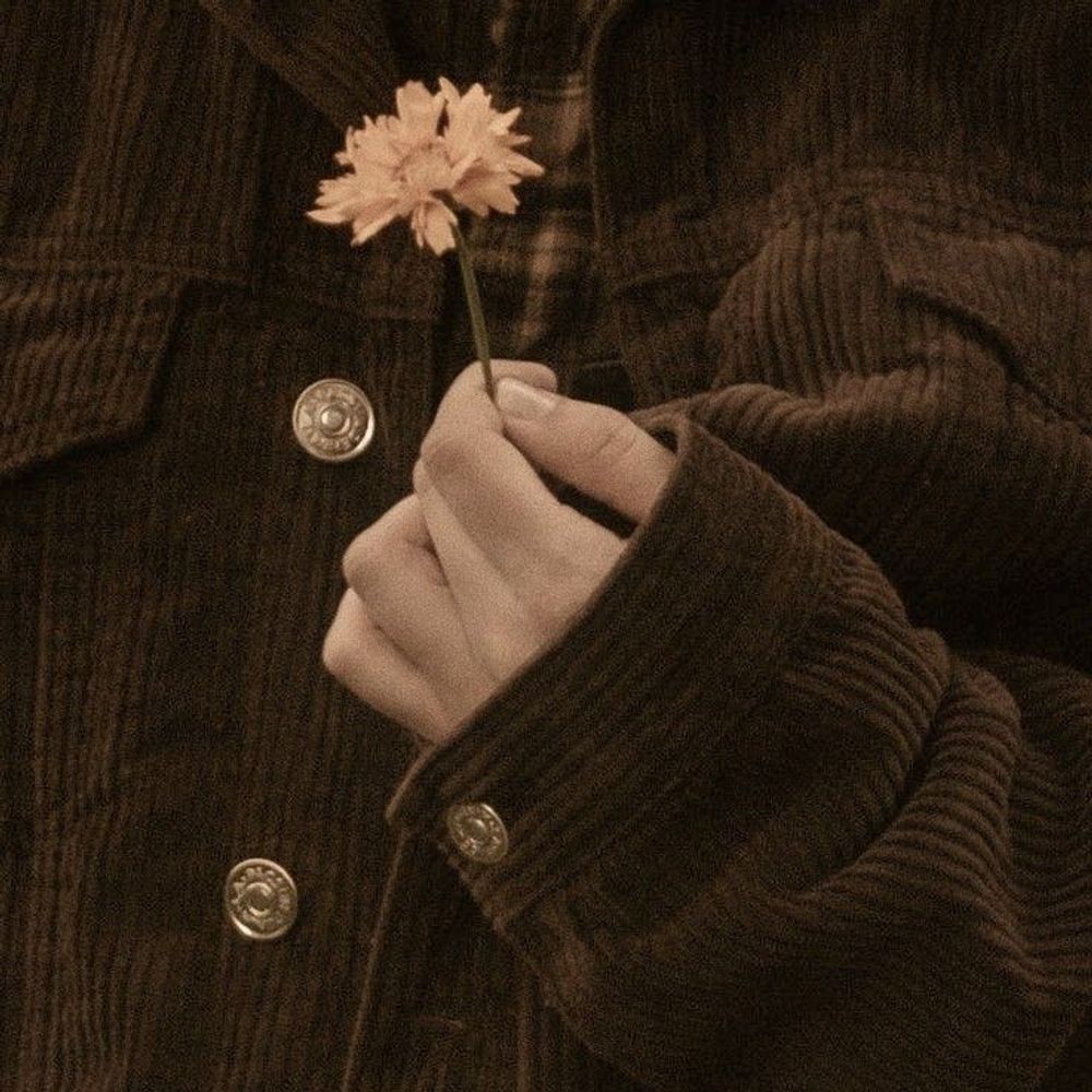 Daisy