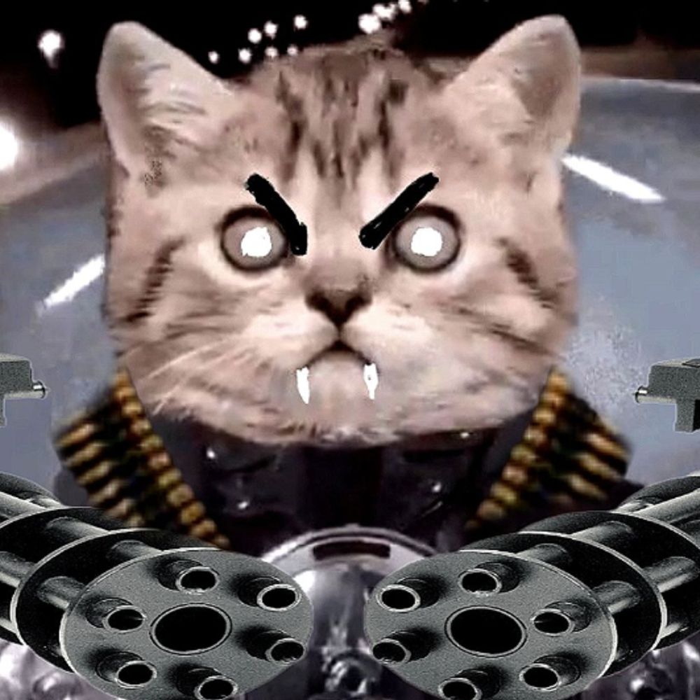 bluetodd2.bsky.social profile picture