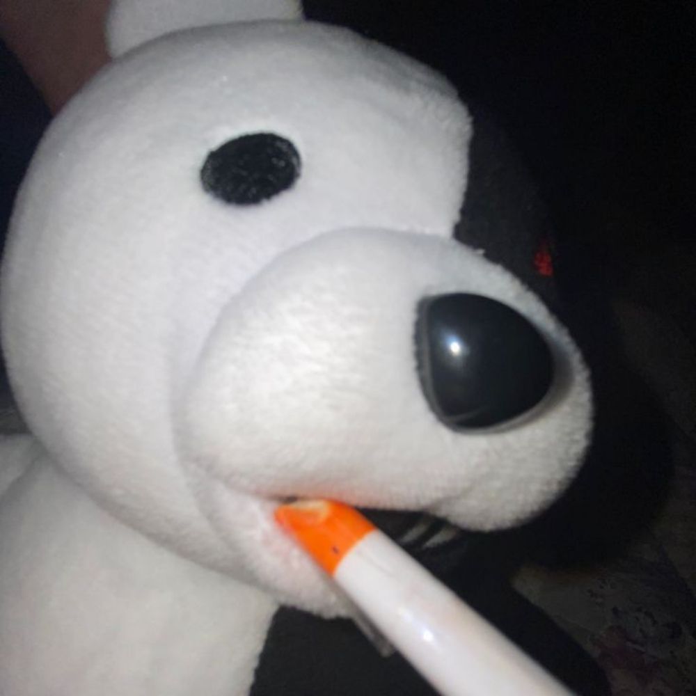 ✭ 𝕄𝕒𝕩𝕚𝕞𝕠 ✭