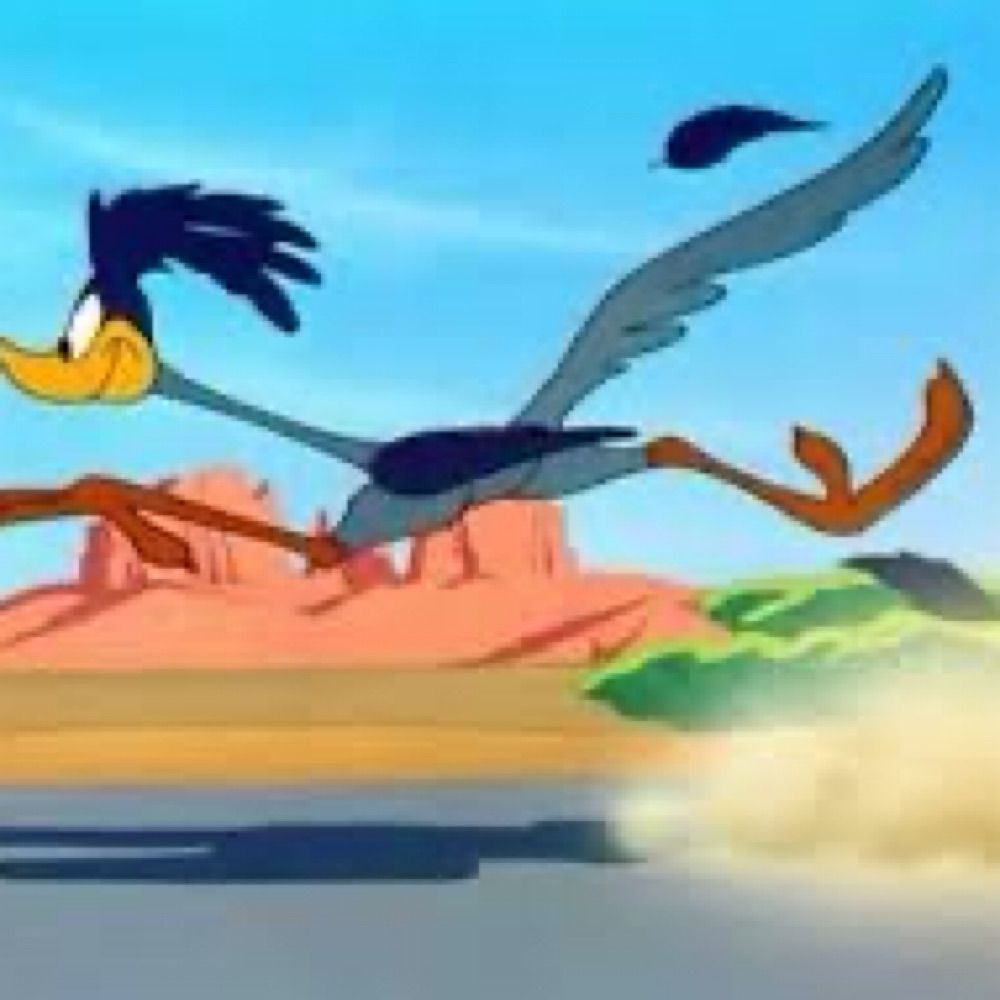 Road Runner