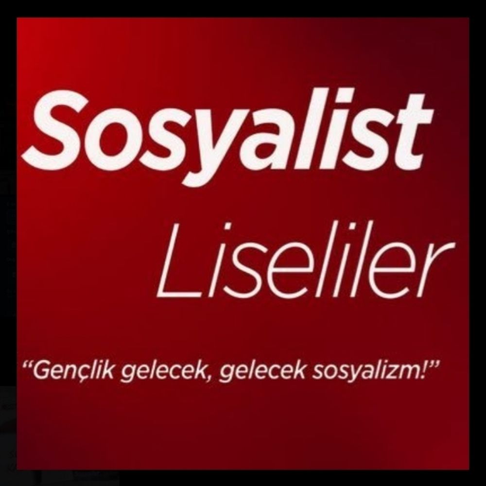 Sosyalist Liseliler