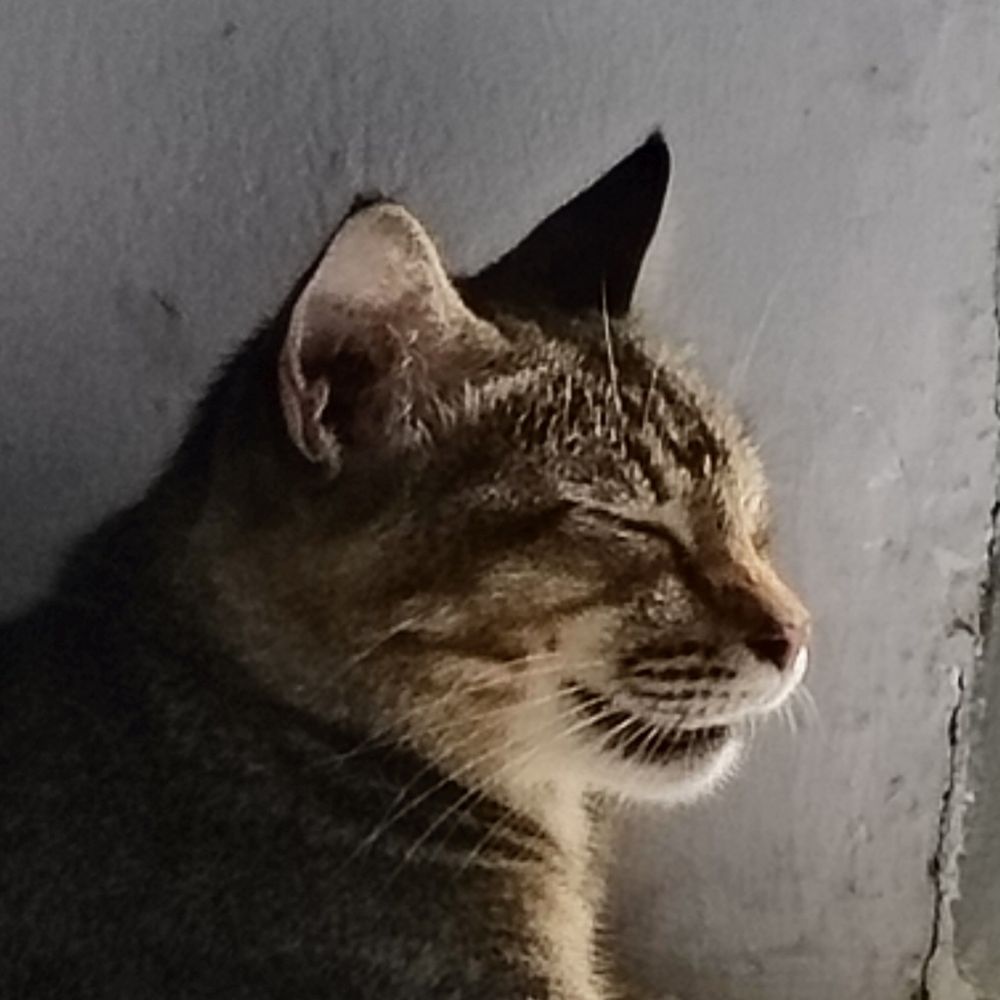 Kai
