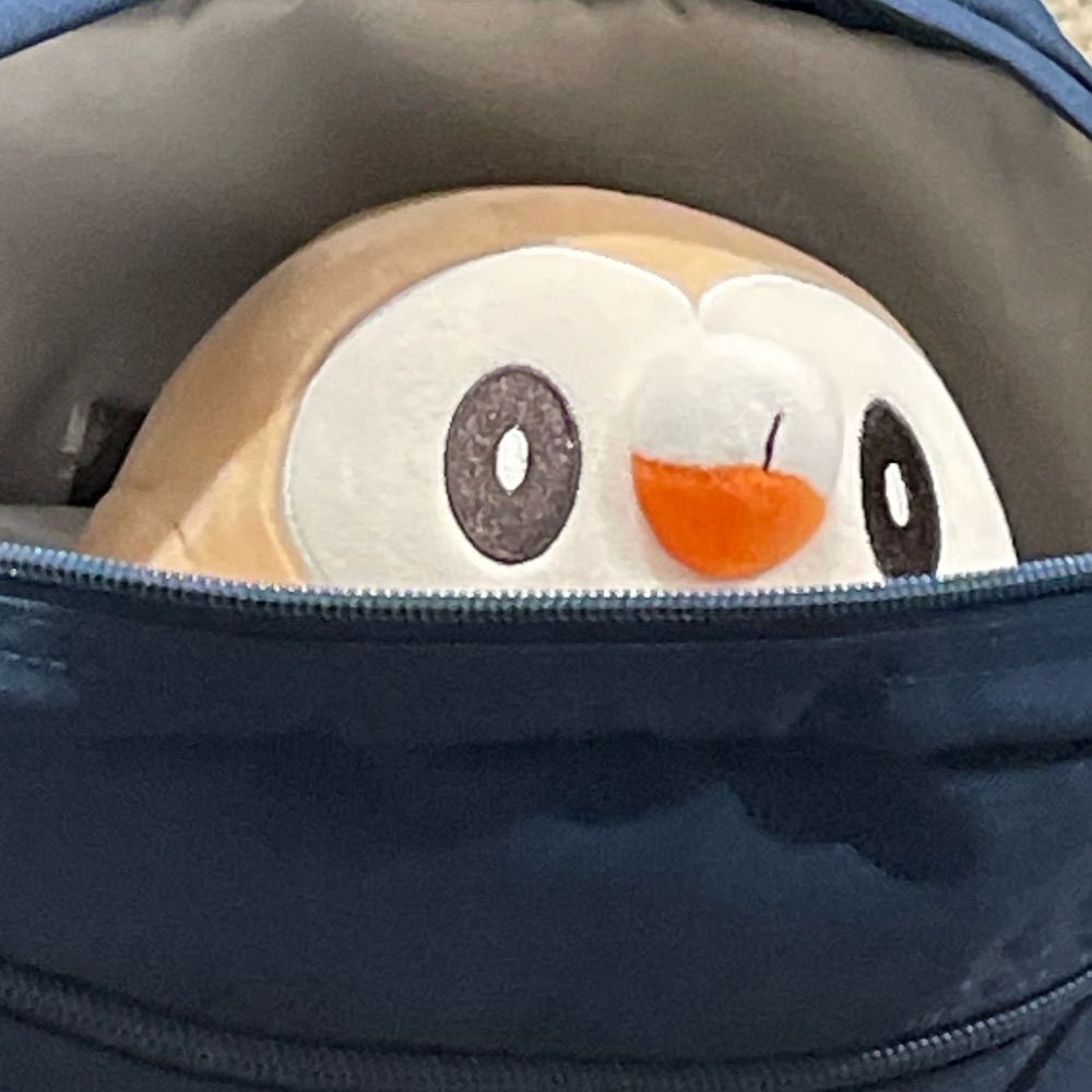 ren