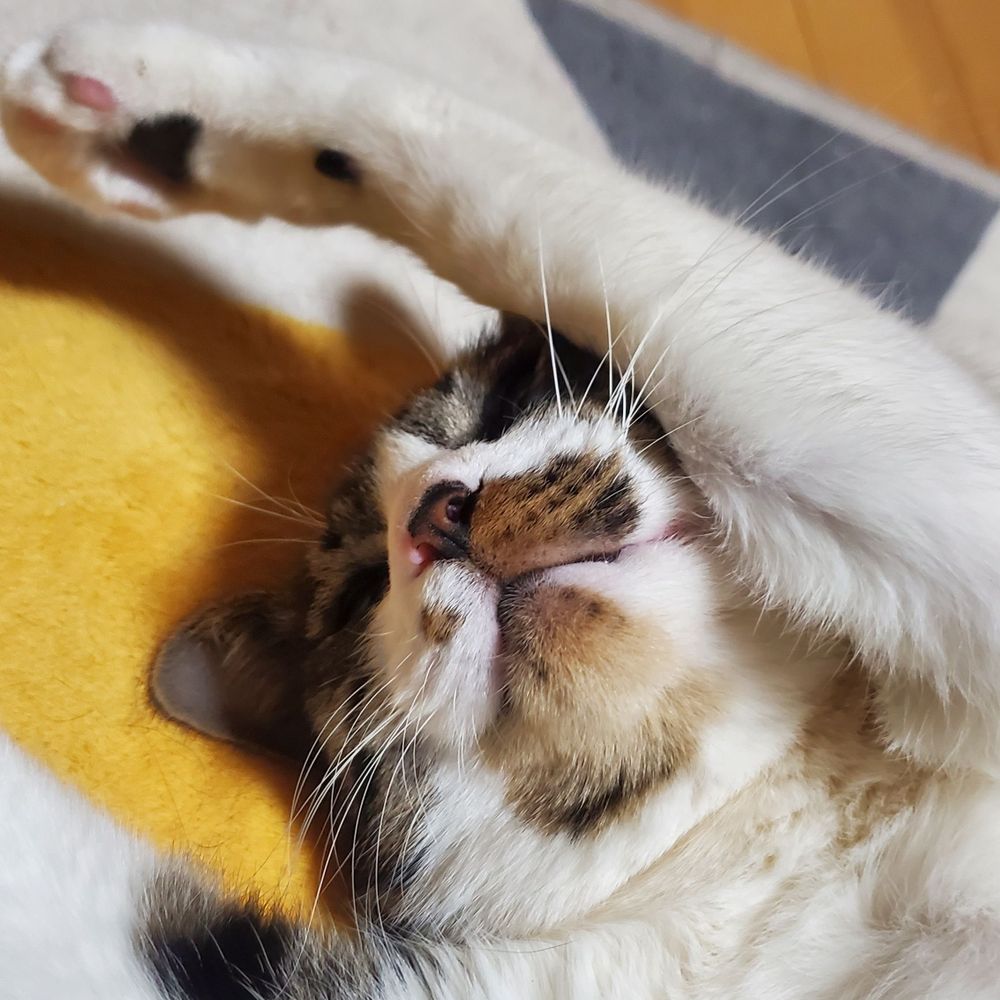 さとう