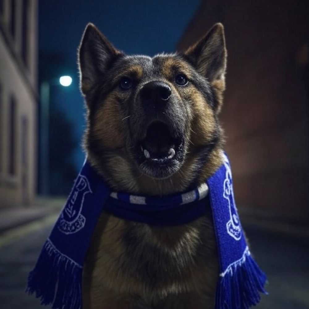 The Dogs Of Moore 🔵🐕⚪️