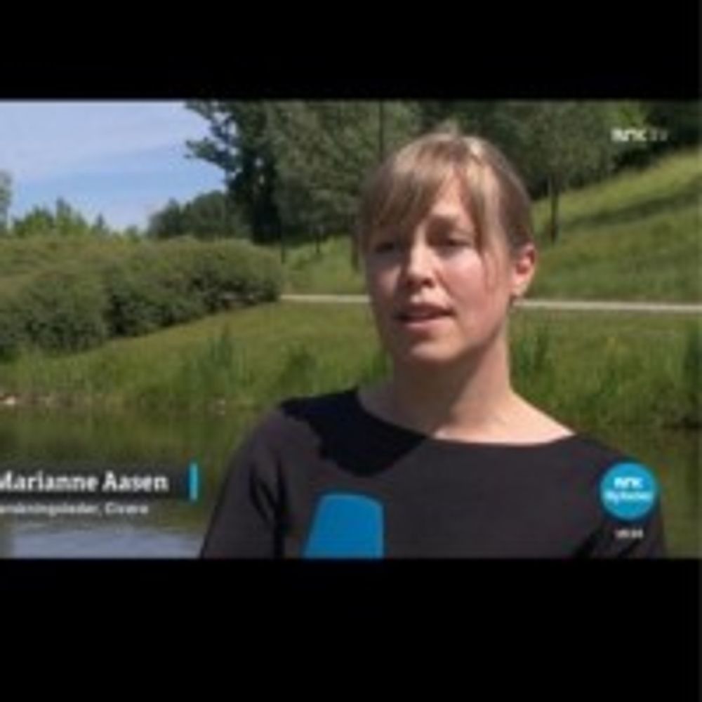 Marianne Aasen