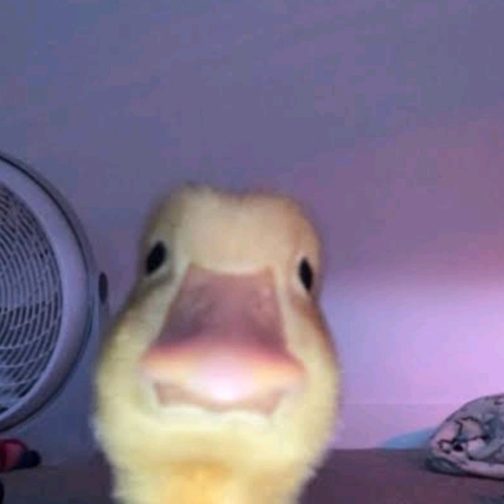 Mamaroto