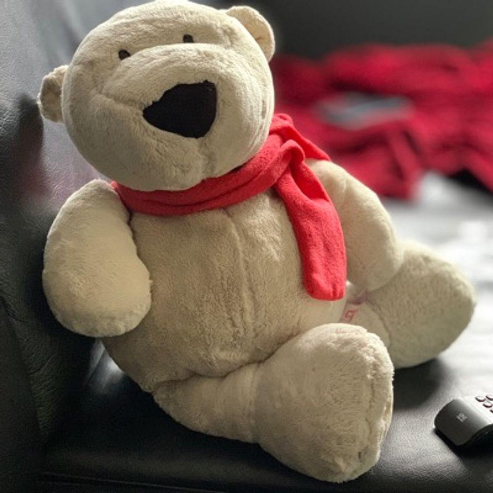 Knut der Eisbär