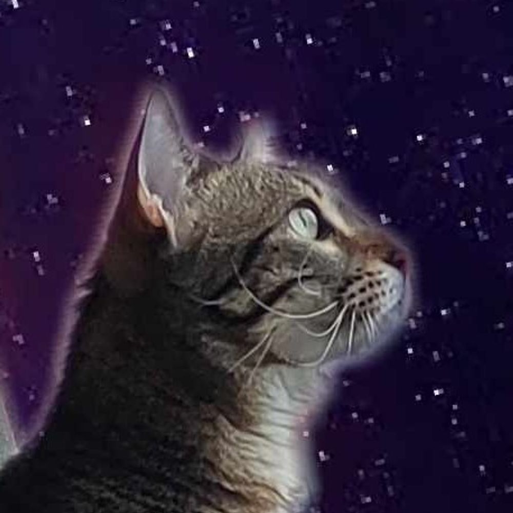Sir Nibbles of Denver