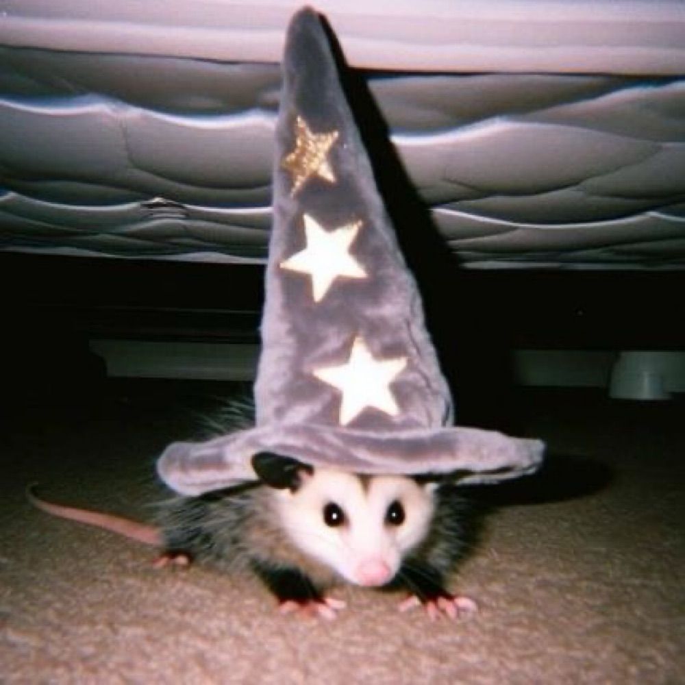 ghøst