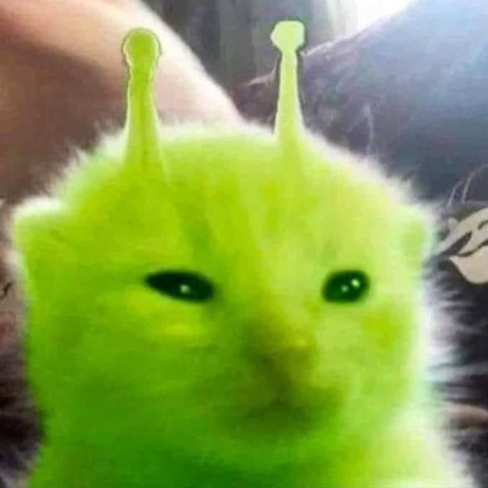 K.K Neko