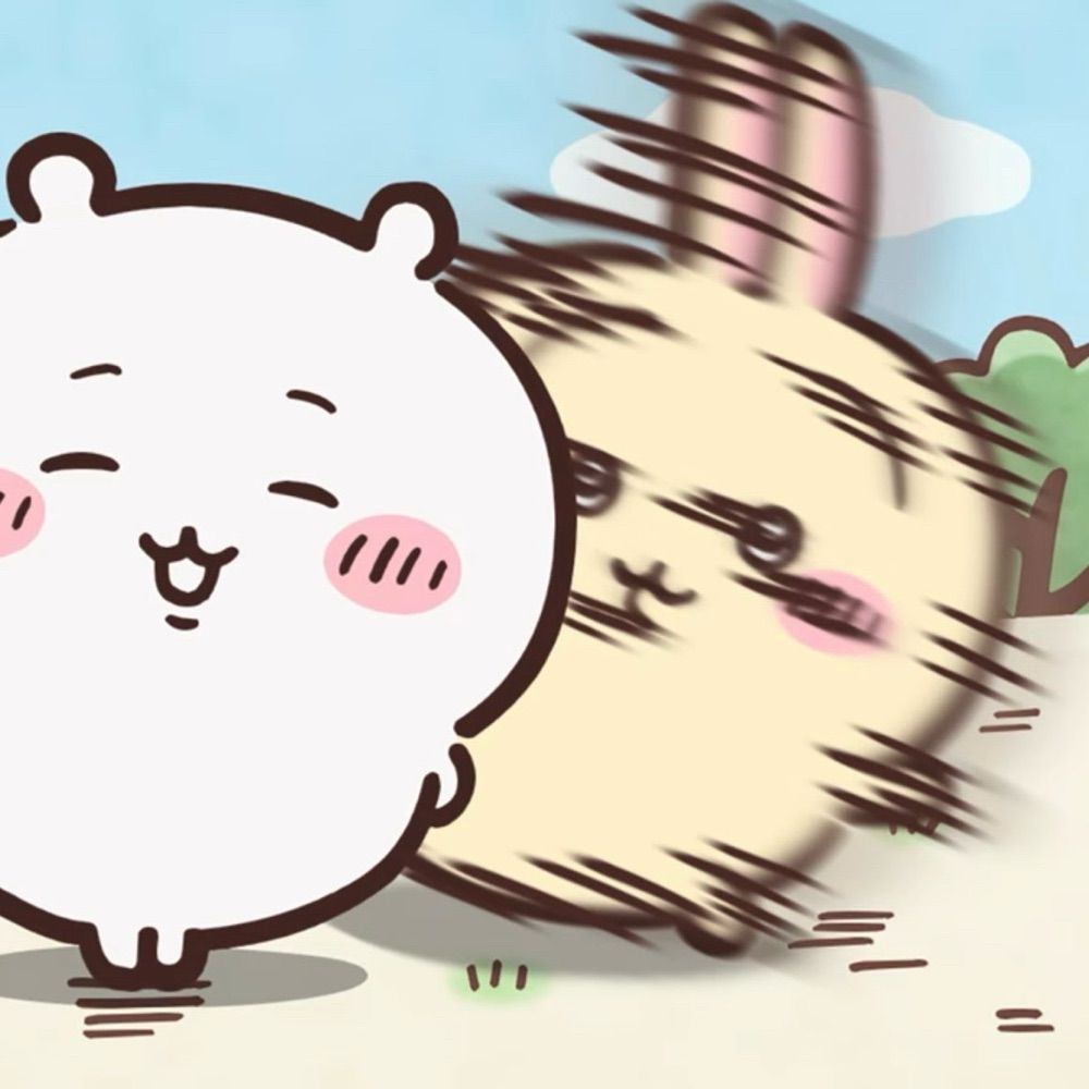 야즐고고｜두리