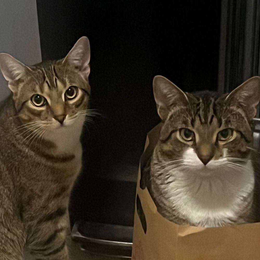 Tom & Nestor