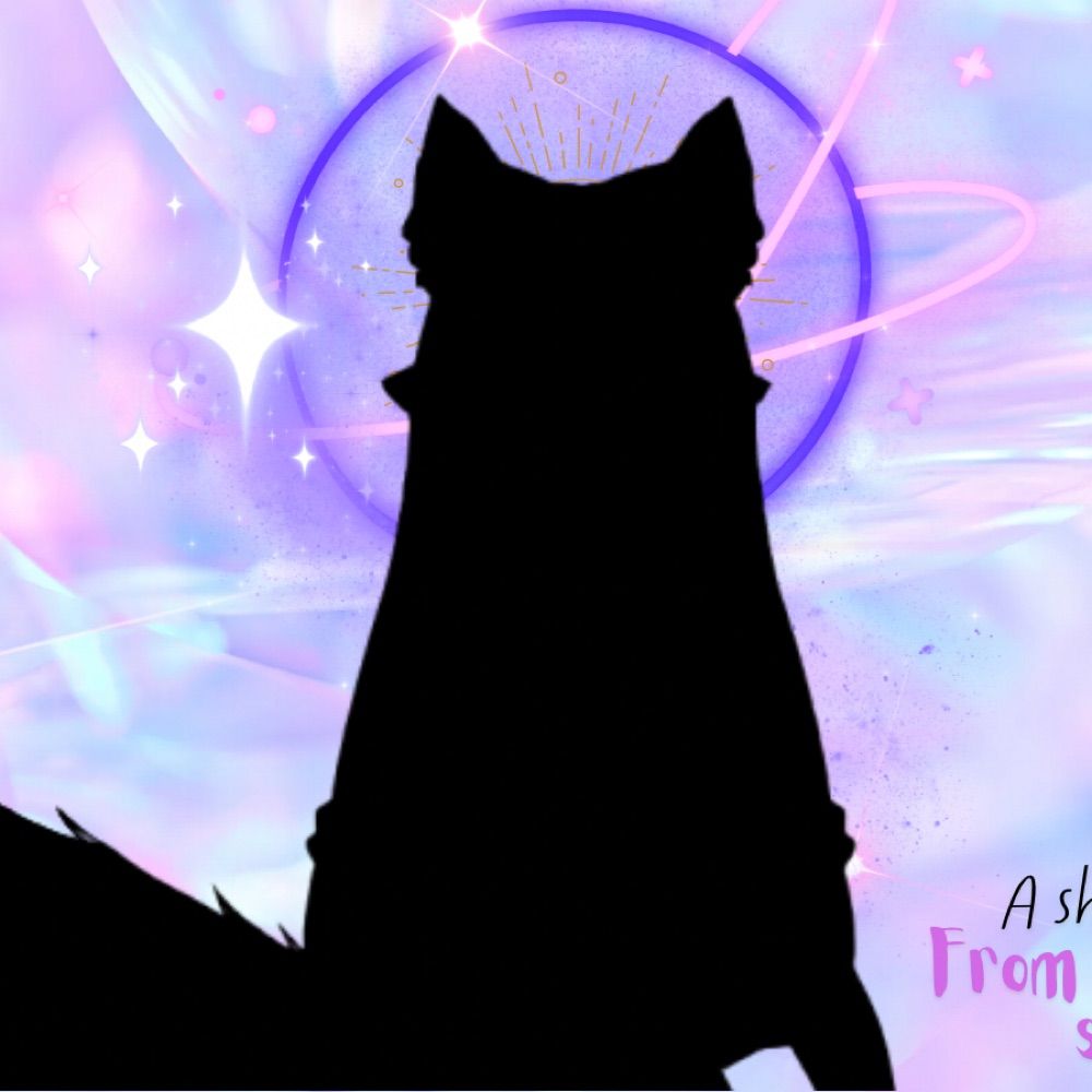 💜✨Celestial_Fennec✨💜