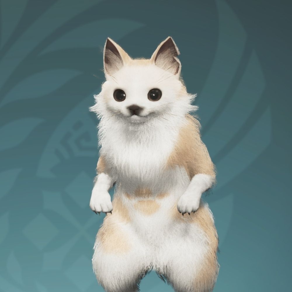딜이트