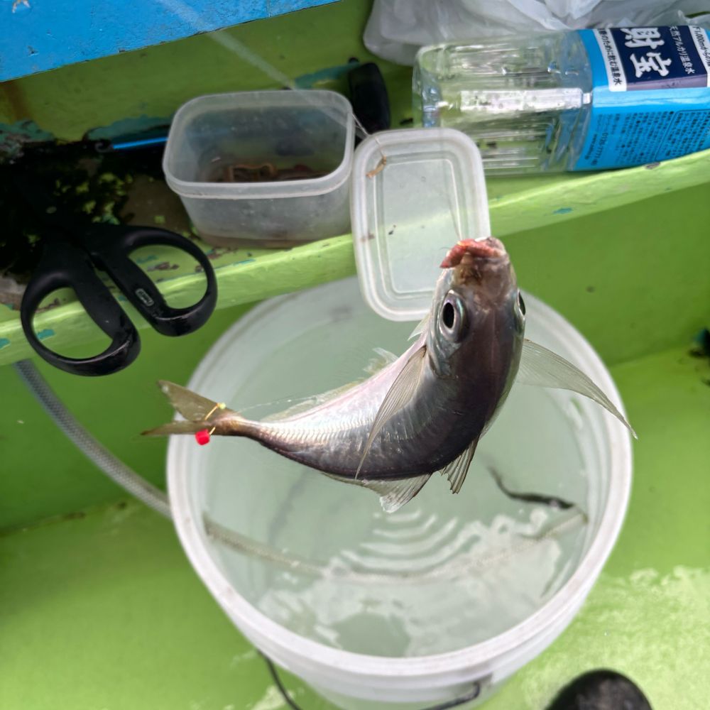 壬生カズヲ