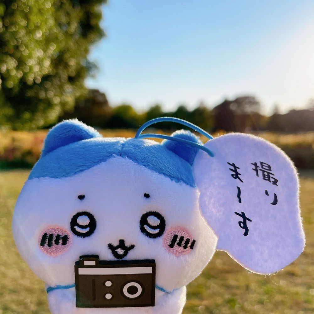 にぃと📸