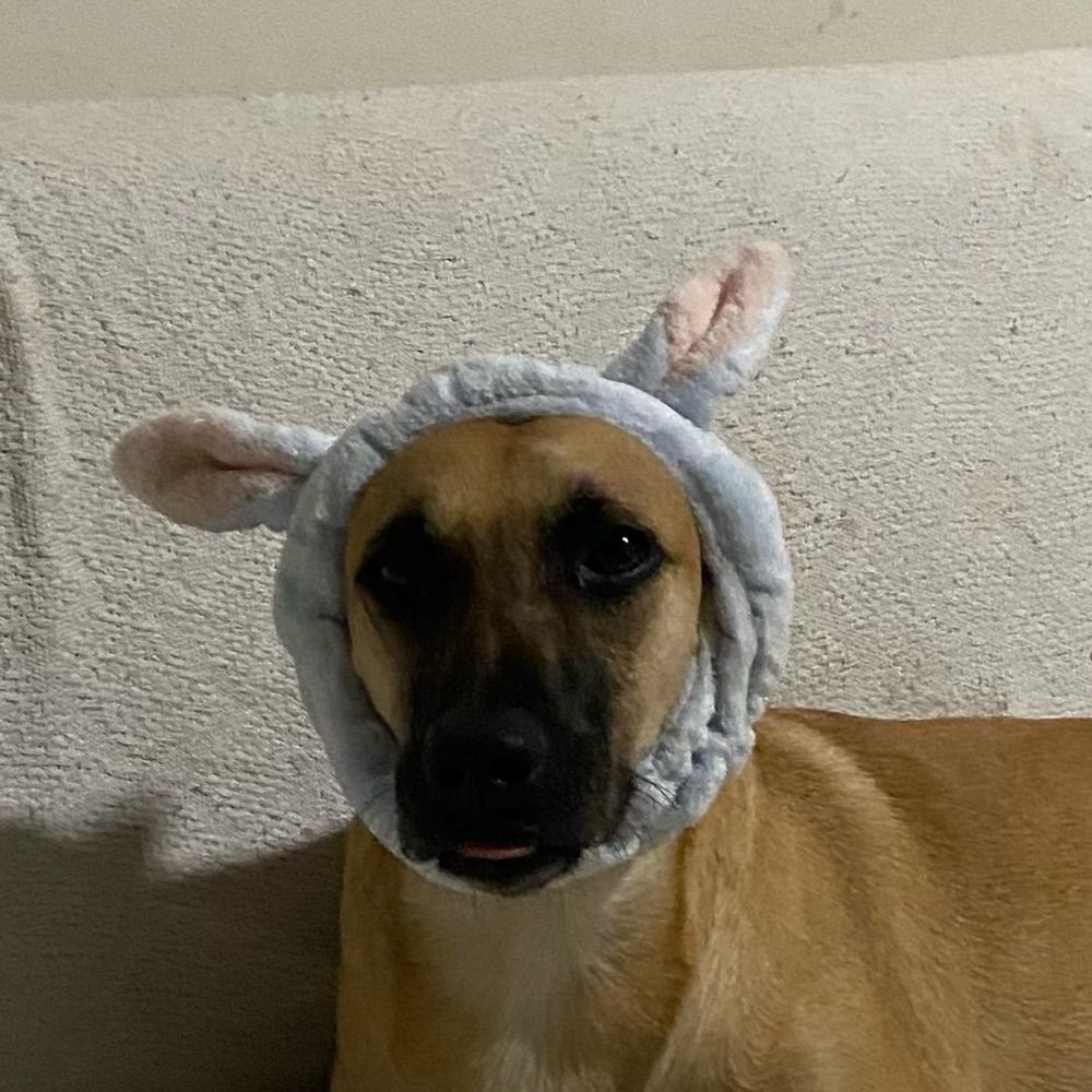 trelosinho (lana's version)