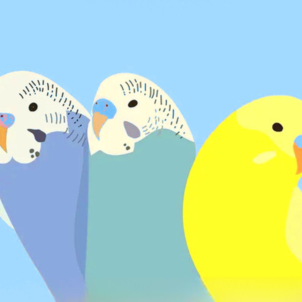 새소리