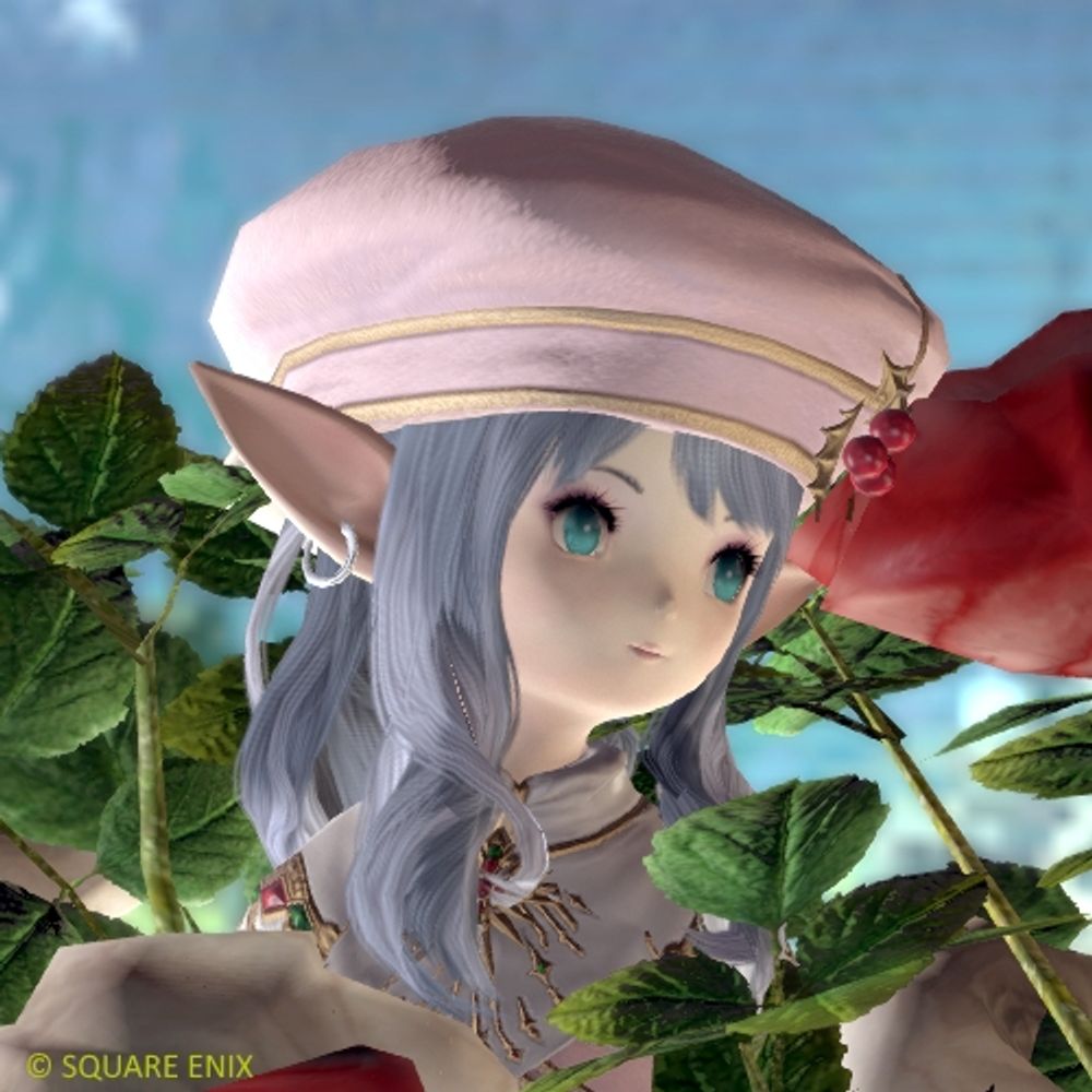 Doko