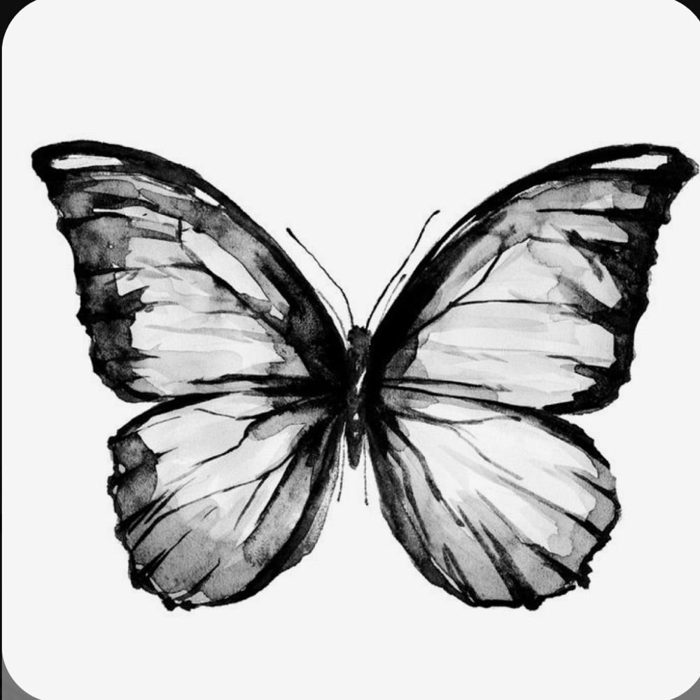 the black butterfly