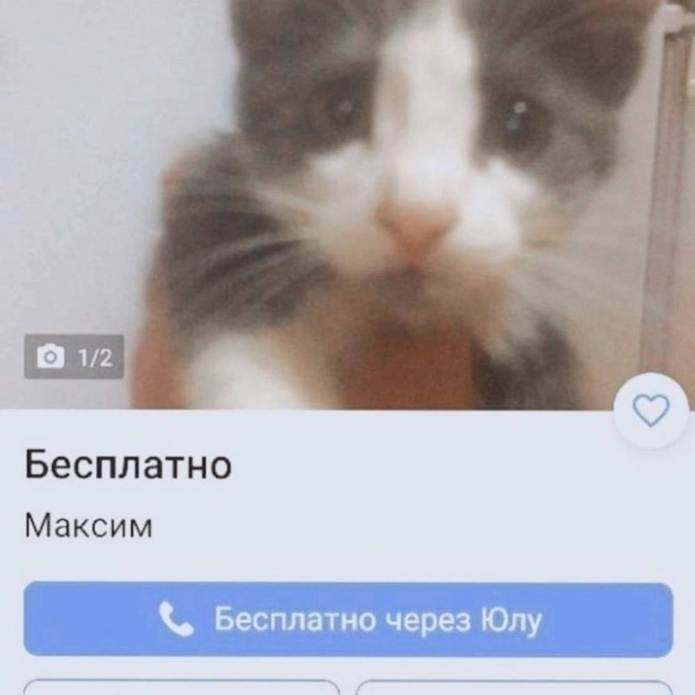 зелынка пиццаедовка