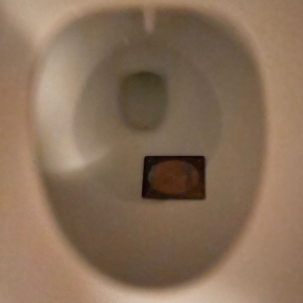 failing-up.bsky.social profile picture