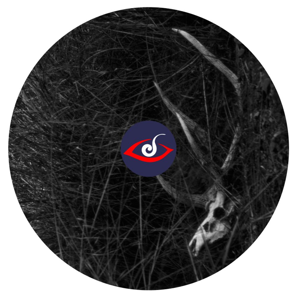 Short Stories by Lucid Illusions