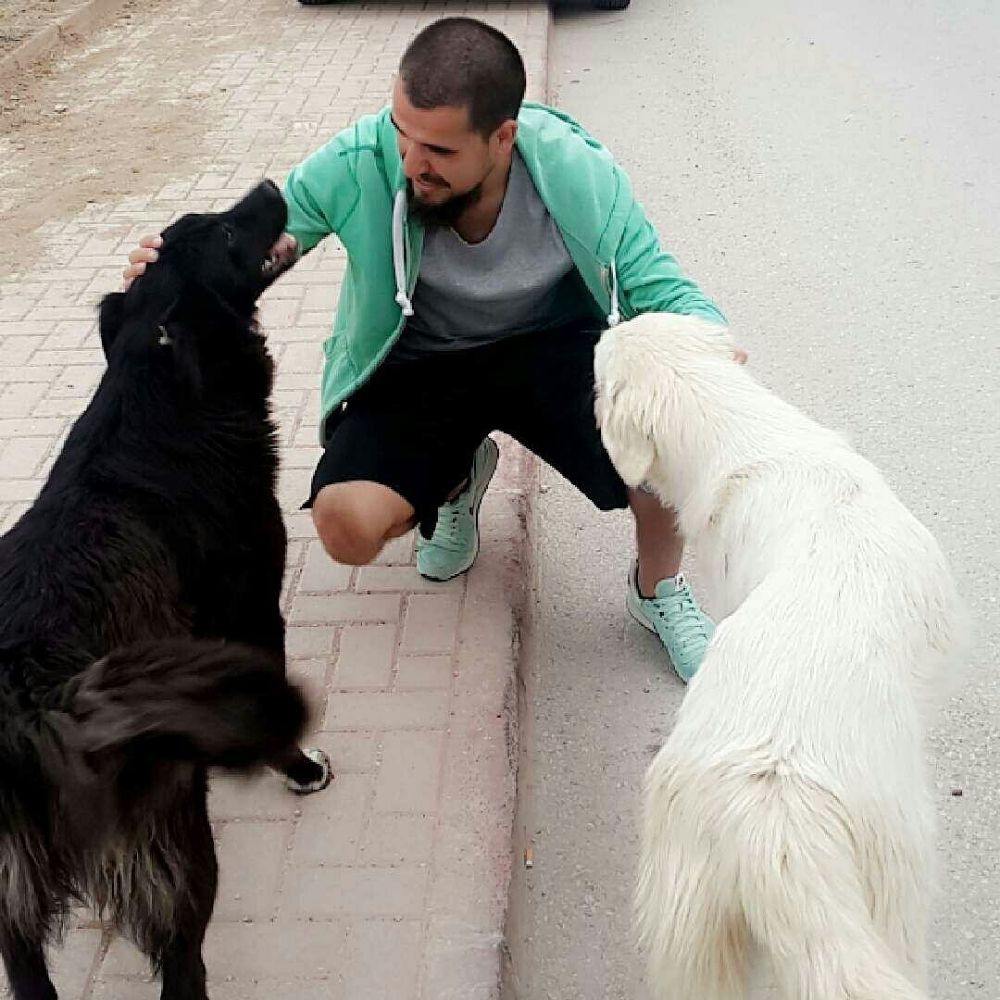 Ömer Soyköse