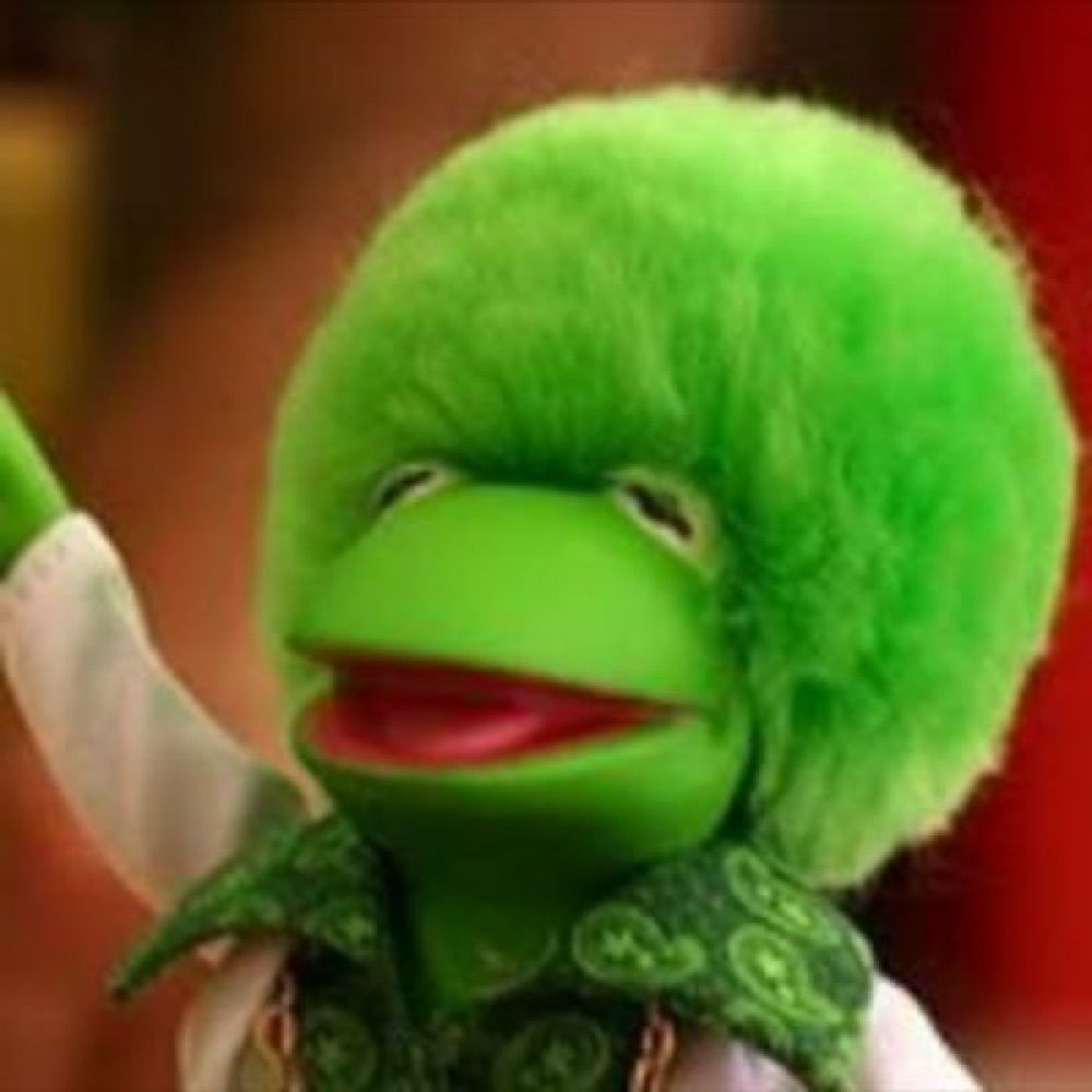 Kermit’s Groove
