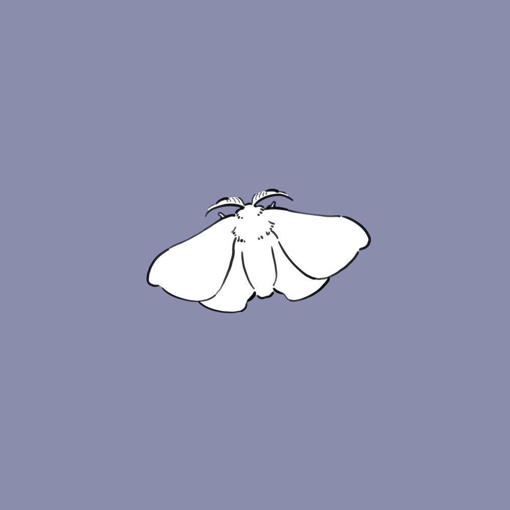 虎蚕