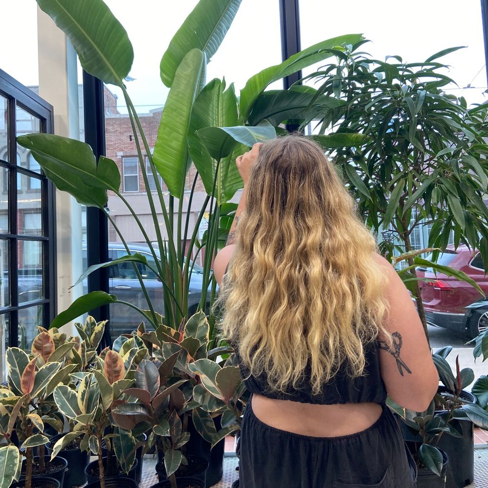 Maggie (she/her) 🌈