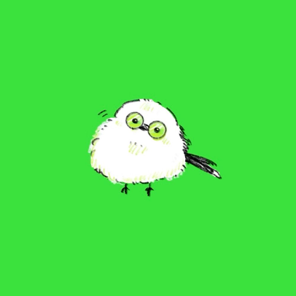 ﾖﾅｶﾞ