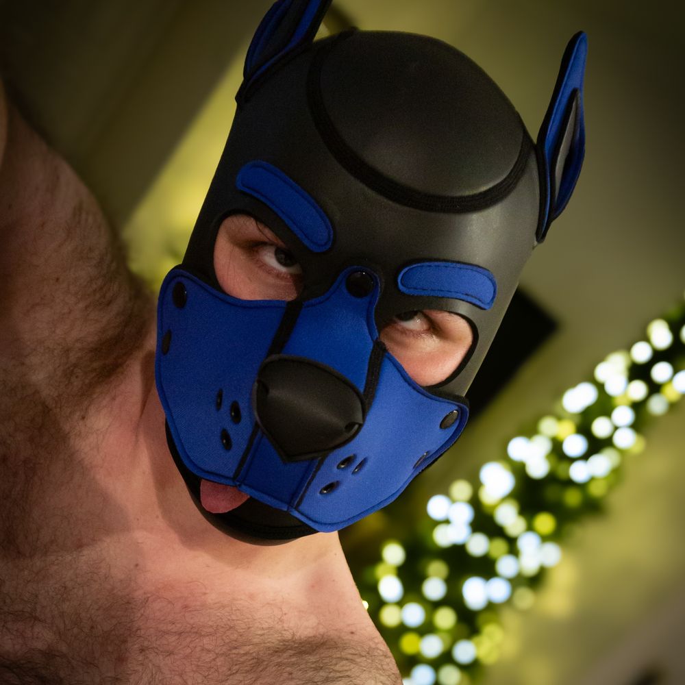 Pup Barrow